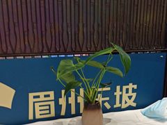 -眉州东坡(远洋未来广场店)