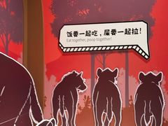 -厦门诚毅自然探索馆