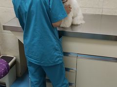 -仁华宠物医院(青羊店)