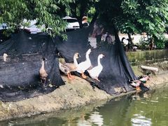 -新合益乡村农庄