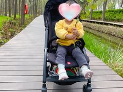 -合肥滨湖国家森林公园