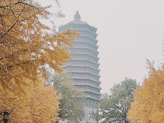 -玲珑塔公园