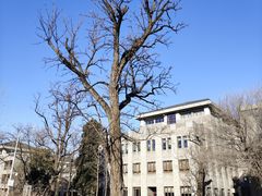 -农园餐厅(北京大学店)