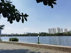 -长白岛森林公园