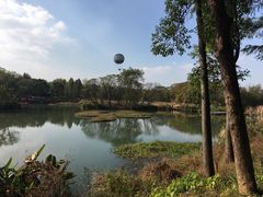 -西溪国家湿地公园