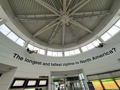 -约翰·菲茨杰拉德·肯尼迪国际机场