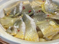 砂锅焗黄花鱼-1937青岛老味道·海肠捞饭·青岛菜(大鲍岛栈桥店)