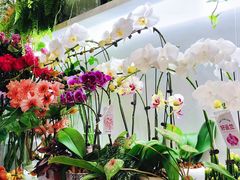 -花点时间(蓝色港湾店)