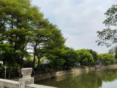 -晓港公园