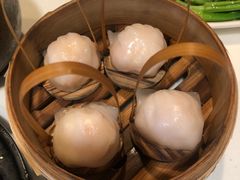 -金鼎轩(亚运村店)