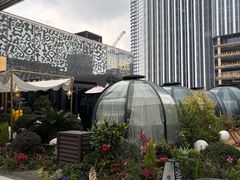 -龟兹KUCINA·新疆菜(前滩L+PLAZA店)