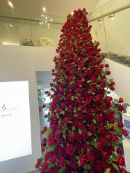 -春田皮肤管理中心品牌旗舰店