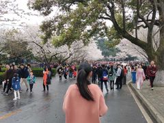 -武汉大学-樱园