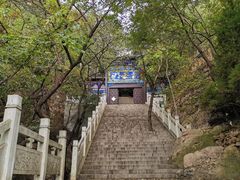 -石老人观光园