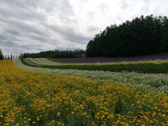 -富田农场