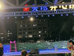 -渔家火锅·海鲜自助餐·演艺(亚龙湾天域酒店)