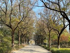 -白塘生态植物园