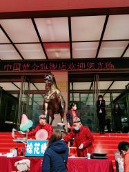 -中国黄金(北京旗舰店)