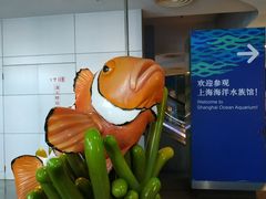 -上海海洋水族馆