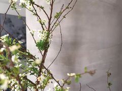 -苏州文旅花间堂·探花府酒店