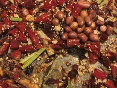 -锦尚阁烤鱼(望京新荟城店)