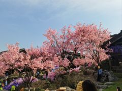 -茅山东方盐湖城景区