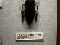 -天津自然博物馆
