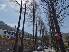-九华山风景区