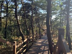 -沂蒙山旅游区云蒙景区(蒙山国家森林公园)