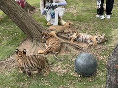 -西霞口神雕山野生动物世界