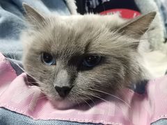 -零纪元VR体验馆·桌游(黄浦店)