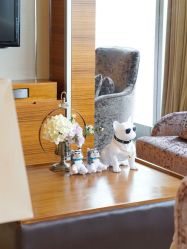 -大美母婴月子专护中心(紫峰店)