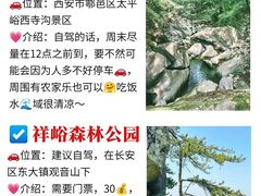 -朱雀国家森林公园