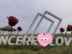 -大塘金香草谷