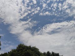 -琅岐红光湖公园