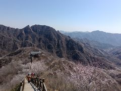 -大岭沟猕猴桃谷风景区