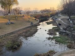 -羊山湖公园