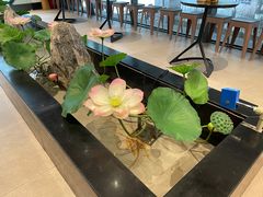 大堂-俏牛哥鲜牛肉牛肆馆(重庆天地店)