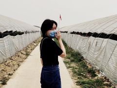 -庞各庄西瓜蔬菜采摘园·锦华瓜园