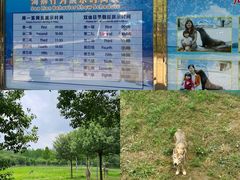 -合肥野生动物园