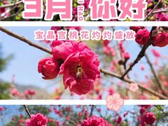 -宝晶宫旅游景区