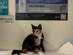 -御宝贝24h宠物医院·转诊中心·CT核磁血透中心(厦门总院)