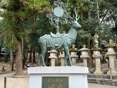 -奈良公园
