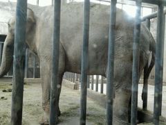 -石家庄市动物园