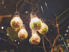 大堂-胡桃里乐队酒馆(农科路店)