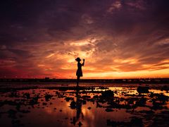 -宝安西湾红树林湿地公园