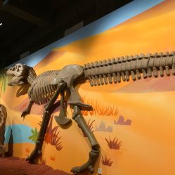 -北京科学中心儿童乐园