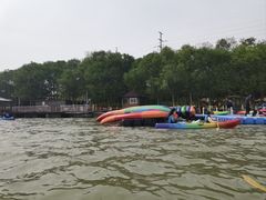 -上海海湾国家森林公园