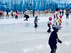 -世界之窗阿尔卑斯冰雪世界