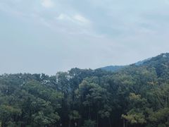 -缙云山景区